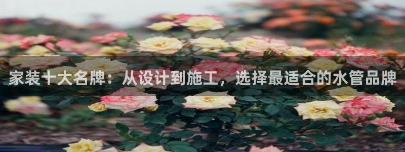 天辰娱乐论坛