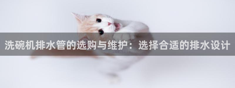 天辰娱乐 . 鱼刺