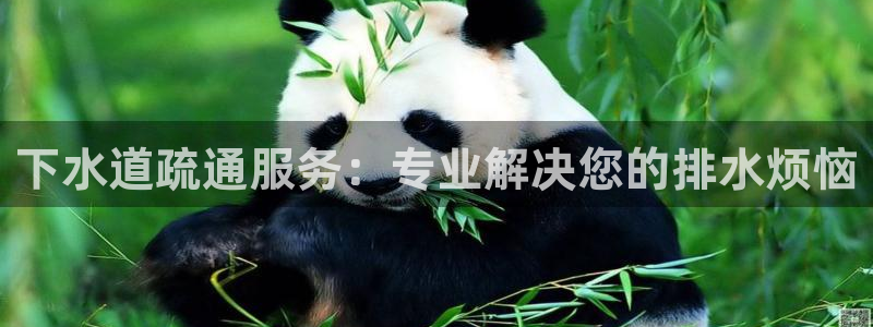 天辰娱乐跑的快