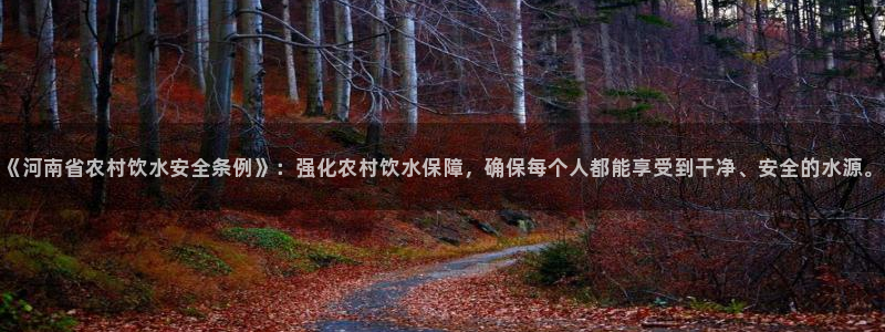 南充天辰娱乐
