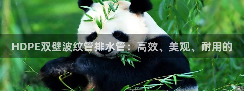 深圳天辰娱乐