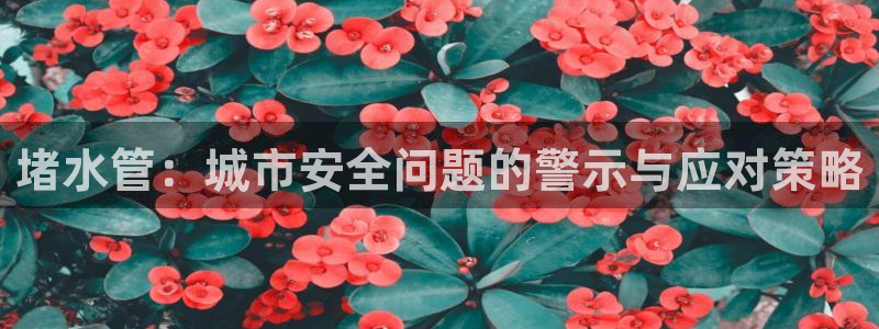 天辰娱乐84566
