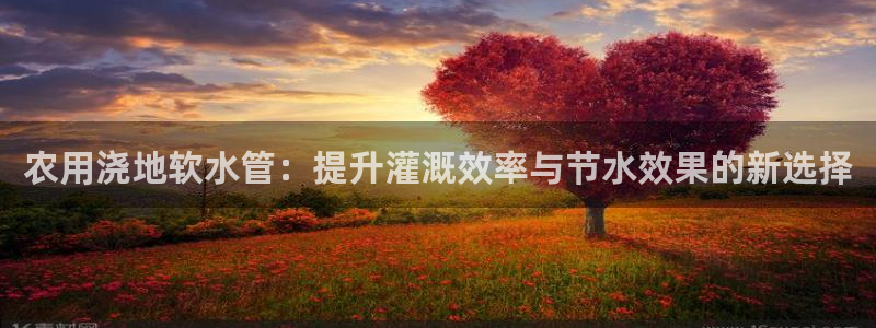 天辰娱乐直属