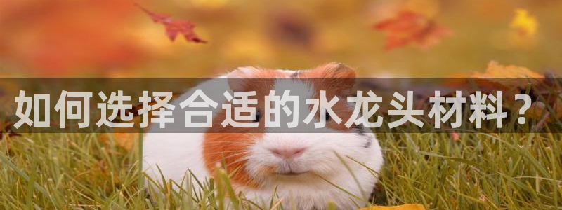 深圳天辰娱乐