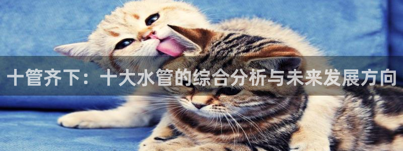 天辰彩票娱乐