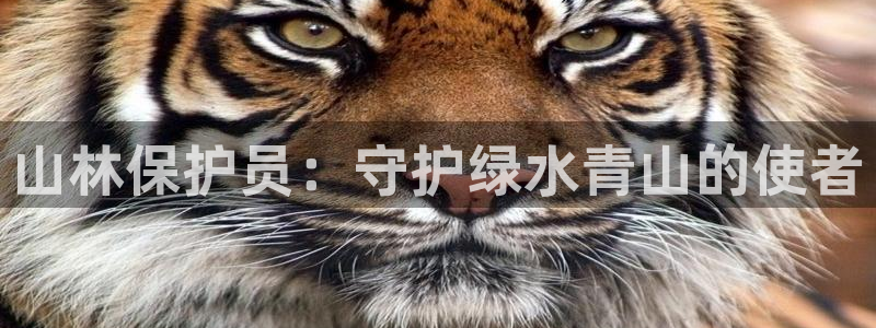 天辰娱乐下载地址