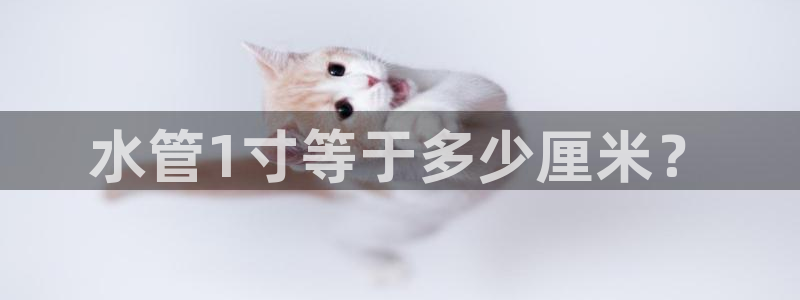 天辰娱乐 天辰平台